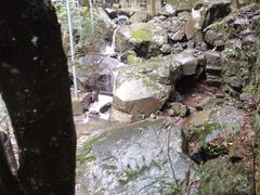 -藏龙百瀑风景区