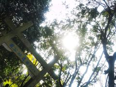 -八卦田遗址公园