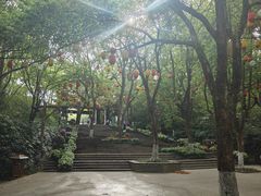 -天目湖山水园
