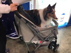 -香港会议展览中心演讲厅