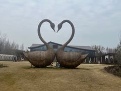 -东平国家森林公园