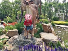 -武清南湖绿博园