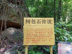 -莫里热带雨林景区
