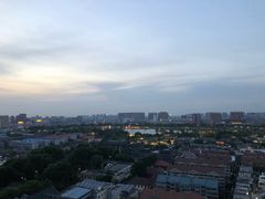 -梧桐餐厅(泉城路店)