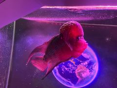 -正佳极地海洋世界