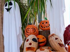 -果仁·意大利餐厅(财富广场店)