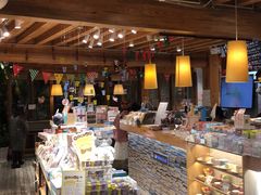 -猫的天空之城概念书店(丽江古城饮玉巷店)