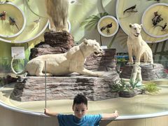 -陕西自然博物馆