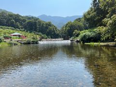 -广州市石门国家森林公园