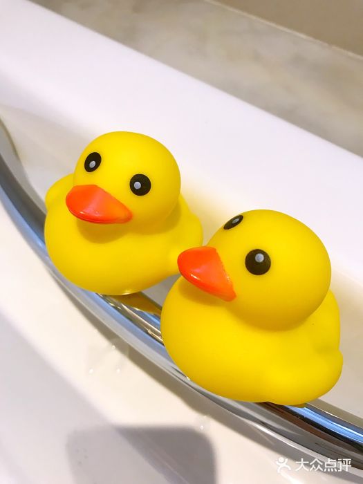 不会直立漂浮的萌萌鸭