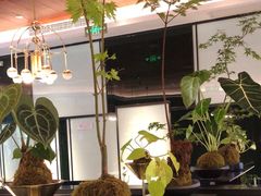 -风渡嘉荷西餐厅 Windy City(西三旗金隅店)