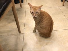 -昌荣竹升面(花园新村店)