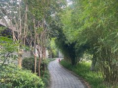 -黄海国家森林公园