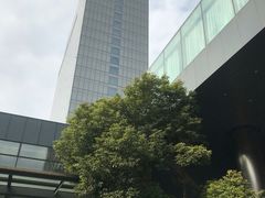 -上海浦东康桥绿地假日酒店