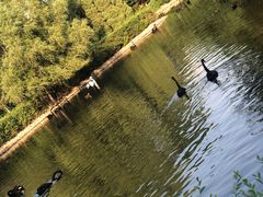 -长白岛森林公园