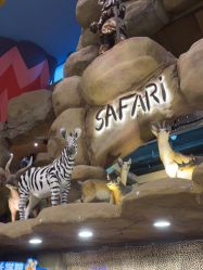 -卡通尼·Safari非洲探索乐园·生日会(金桥国际商业广场店)