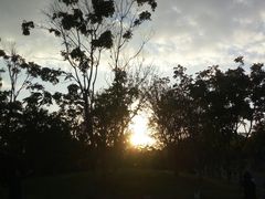 -牛岗山公园