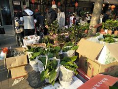 -宝鸡东道花鸟鱼虫市场(吉利花园商场店)