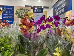 -山姆会员商店(大连店)