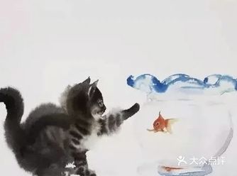 嗨！今天我带着小猫咪们来了你看出了什么