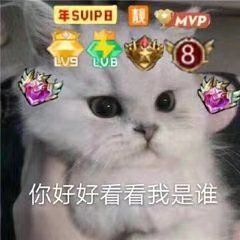 -华卫思理轻奢造型