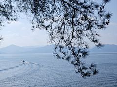 -千岛湖东南湖区