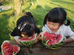 -九善农植有机生活农场