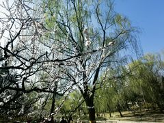 -元大都城垣遗址公园