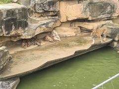 -无锡动物园·太湖欢乐园