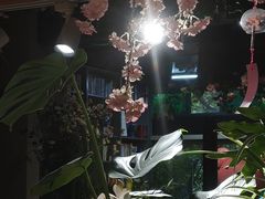 -谷咖啡·鲜花绿植花园餐厅