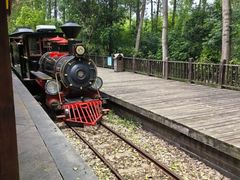 -合肥滨湖国家森林公园