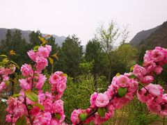 -京西十八潭风景区
