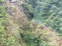 -苍山感通索道