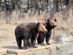 -沈阳森林动物园
