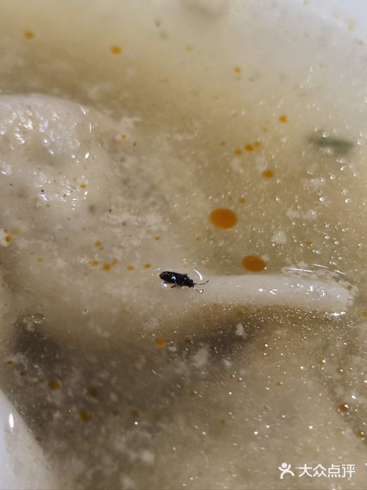 袁记云饺(南门口店)图片