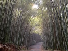 -苏州环秀晓筑养生度假村