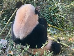 -杭州动物园