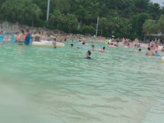 -重庆海昌加勒比海水世界