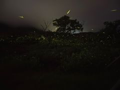 -西涌国际滨海旅游区