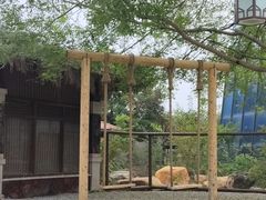 -瑞阁温泉酒店温泉中心