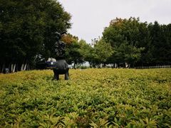 -长春世界雕塑园冰雪艺术天地