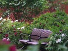 -北京市劳动人民文化宫(太庙)