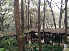 -忠山公园