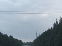 -上海海湾国家森林公园