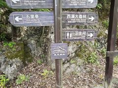 -东天目山风景区