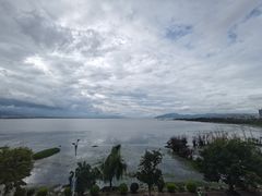 -野菌皇海景野生菌火锅(滨海大道店)