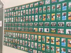 -青苗儿童口腔(长楹天街购物中心)