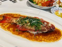 -伯衡55·吉品轩(乌鲁木齐南路店)