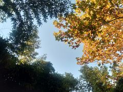 -春晖园度假酒店温泉