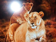 -罗红摄影艺术馆